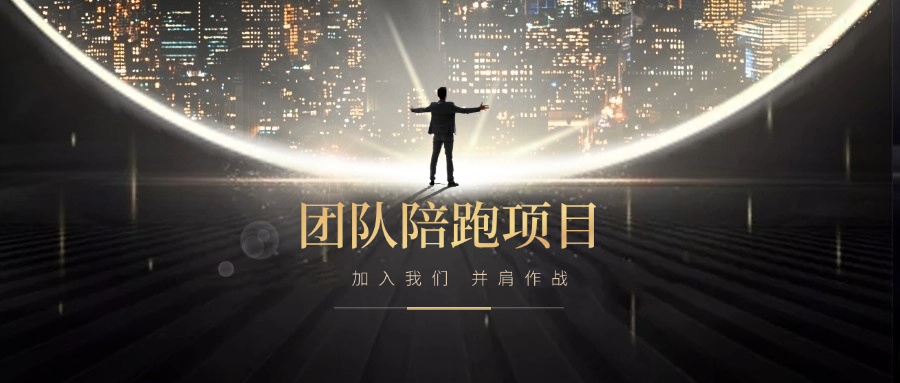 团队陪跑项目