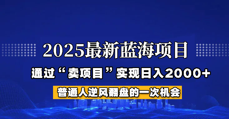 2025年蓝海项目，如何通过“网创项目”日入2000+-创业吧