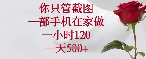 你只管截图，一部手机在家做，一小时120.一天5张【揭秘】-创业吧