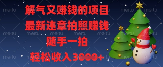 解气又挣钱的项目，最新违章拍照挣钱，随手一拍，轻松收入数张【揭秘】-创业吧