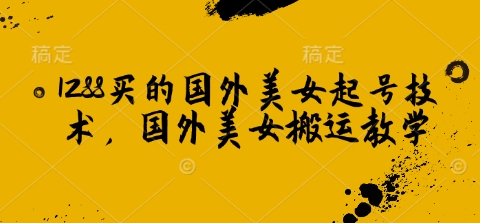 1288买的国外美女起号技术，国外美女搬运教学-创业吧