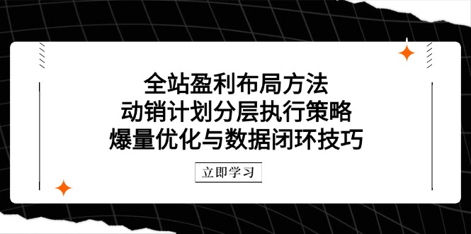全站盈利布局方法：动销计划分层执行策略，爆量优化与数据闭环技巧-创业吧