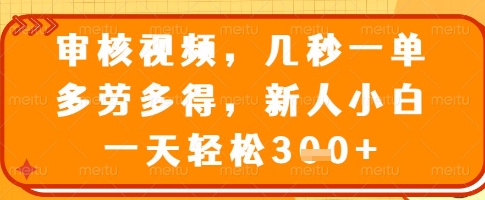 审核视频，几秒一单，多劳多得，新人小白一天轻松3张【揭秘】-创业吧
