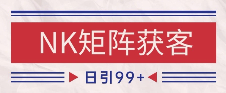 小红书某音NK赛道引流获客 自热矩阵日引200+【揭秘】-创业吧
