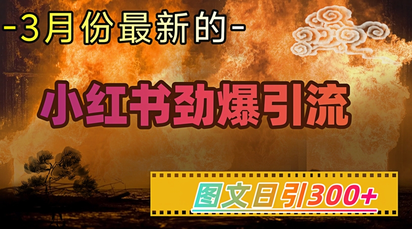 小红书超劲爆引流手段，图文日引300+轻松变现1W-创业吧
