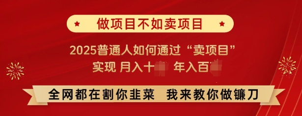 必看，做项目不如卖项目，2025普通人如何通过“卖项目”实现月入十个，年入百个-创业吧