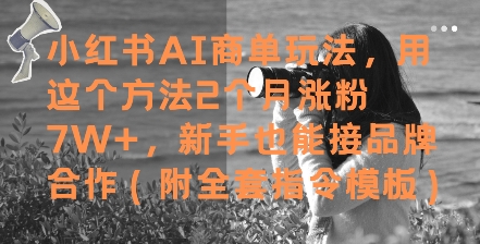小红书AI商单玩法，用这个方法2个月涨粉7W+，新手也能接品牌合作(附全套指令模板)-创业吧
