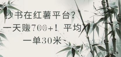抄书在小红薯平台？平均一单30米，一天收益几张！-创业吧