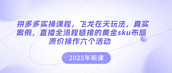 拼多多实操课程，飞龙在天玩法，真实案例，直播全流程链接的黄金sku布局原价操作六个活动-创业吧