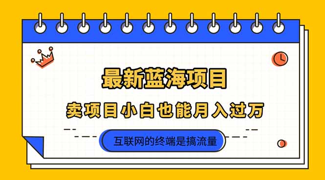 2025年最新蓝海项目，卖项目小白也能月入过万-创业吧