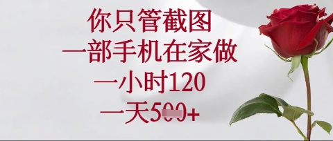 你只管截图，一部手机在家操作，一小时120.一天5张【揭秘】-创业吧