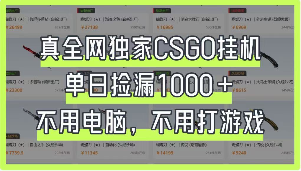 真全网独家CSGO挂机，单日捡漏1000+，不用电脑，不用养号-创业吧