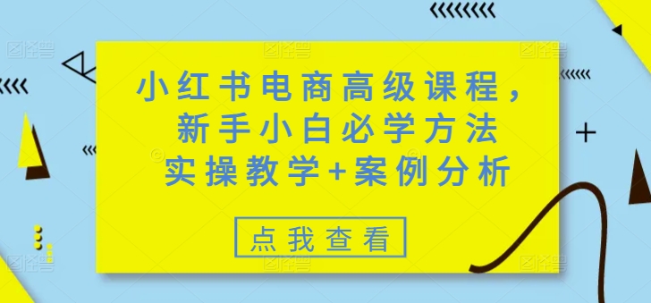 小红书电商高级课程，新手小白必学方法，实操教学+案例分析-创业吧