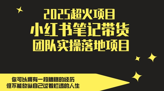 2025超火项目，副业最佳选择，小红书笔记带货团队实操落地项目，，轻松日入5张-创业吧