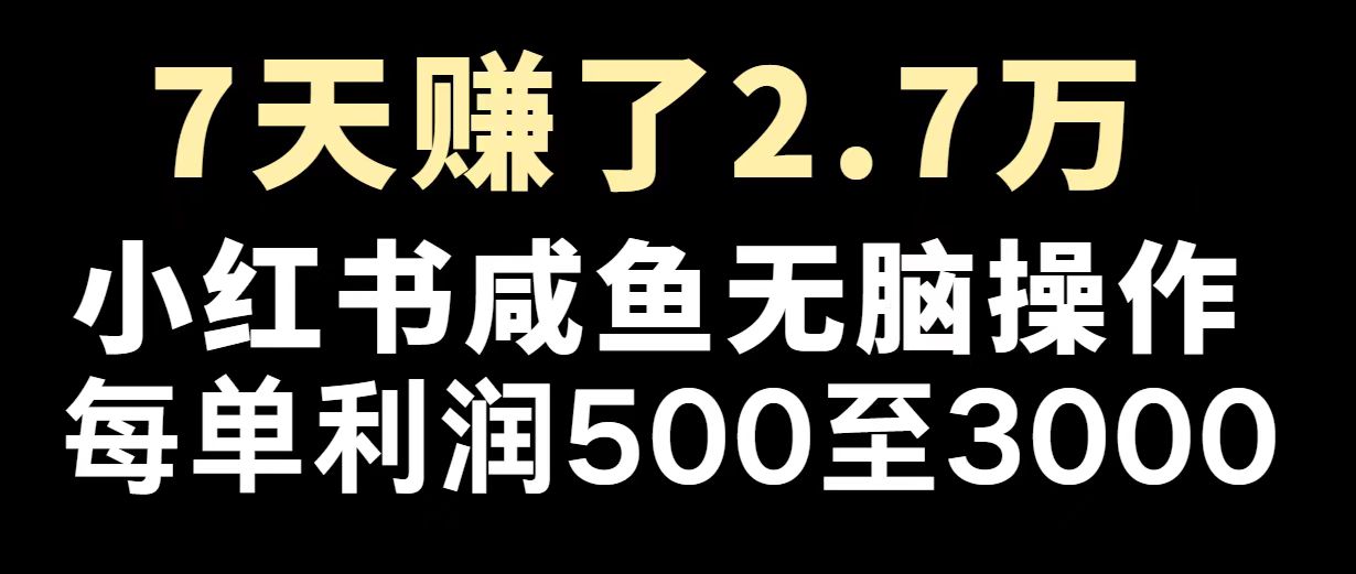 最赚钱项目之一，2025爆火，逆风翻盘！-创业吧