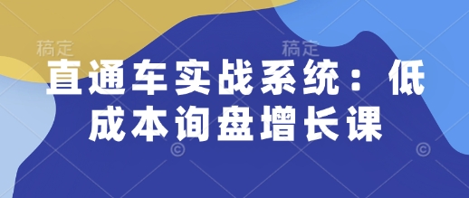 直通车实战系统：低成本询盘增长课，让个人通过技能实现升职加薪，让企业低成本获客，订单源源不断-创业吧