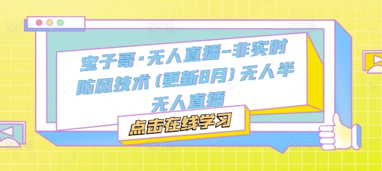 宝子哥·无人直播-非实时防风技术(更新25年6月)无人半无人直播-创业吧