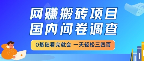 网创搬砖项目，国内问卷调查，小白轻松上手，一天三四张的也不难，干就完了【揭秘】-创业吧