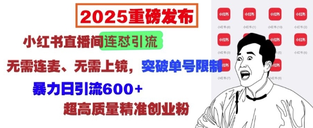 2025重磅发布：小红书直播间连怼引流，无需连麦、无需上镜，突破单号限制，暴力日引流600+-创业吧