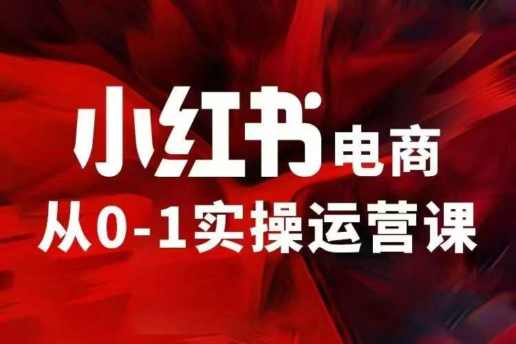 小红书电商运营，97节小红书vip内部课，带你实现小红书赚钱-创业吧
