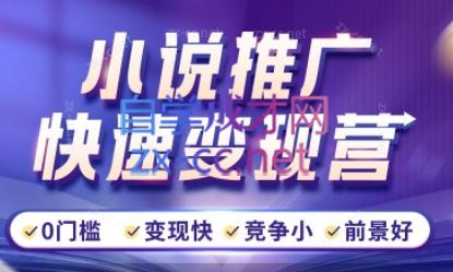 洲洲老师·小说推广快速变现营|南巷学社
