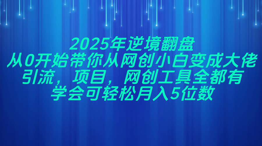 2025年逆境翻盘，从0开始带你从网创小白变成大佬，引流，项目，网创工…-创业吧