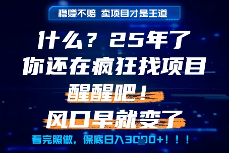 什么？25年你还在疯狂找项目做，醒醒吧，看完这些你全都懂了！【揭秘】-创业吧