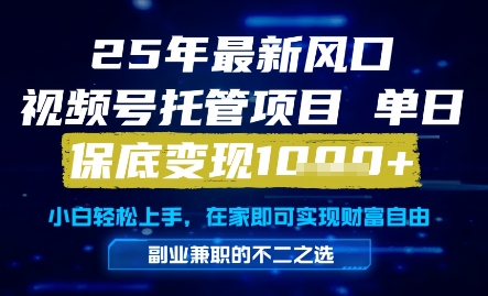 25年最新风口，视频号托管项目，单日保底变现1k+，手把手教学【揭秘】-创业吧