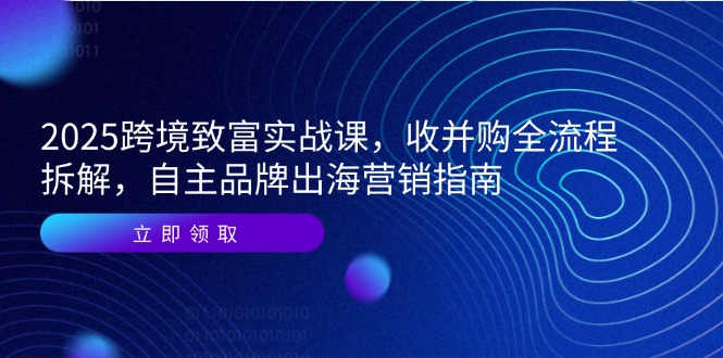2025跨境致富实战课，收并购全流程拆解，自主品牌出海营销指南-创业吧
