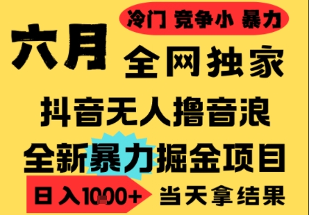 25年6月高爆抖音无人直播最新撸音浪掘金项目，小白可做，无脑日入1k+，门槛低可批量矩阵【揭秘】-创业吧