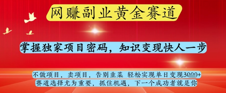 网创副业黄全赛道，掌握独家项目密码，知识变现快人一步，告别韭菜轻松实现单日变现1k+【揭秘】-创业吧