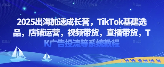 2025出海加速成长营，TikTok基建选品，店铺运营，视频带货，直播带货，TK广告投流等系统教程-创业吧