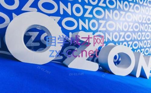 森哥·出海俄罗斯电商实操(2024)|南巷学社