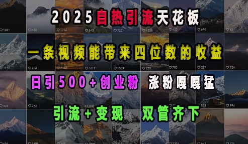 2025自热引流天花板，一条视频能带来四位数的收益，引流+变现双管齐下，日引500+创业粉，涨粉嘎嘎猛-创业吧