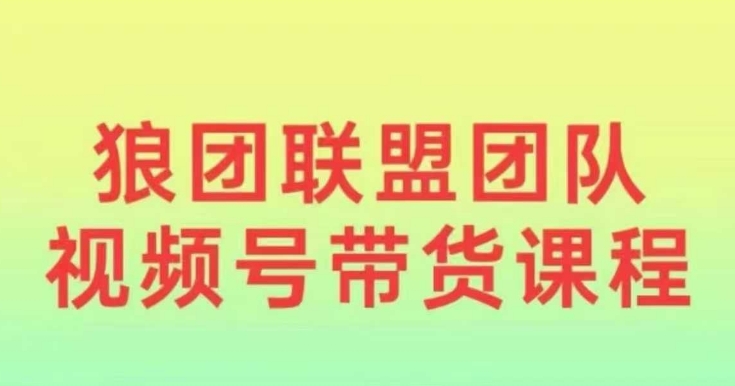 狼团联盟2024视频号带货，0基础小白快速入局视频号-创业吧