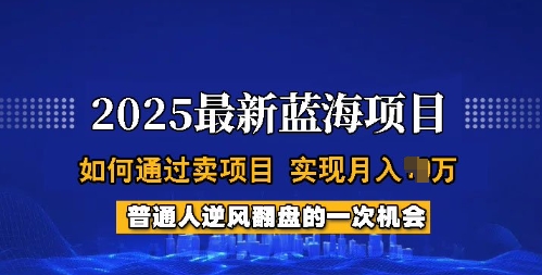 2025蓝海项目，普通人如何通过卖项目，实现月入过W，全过程【揭秘】-创业吧