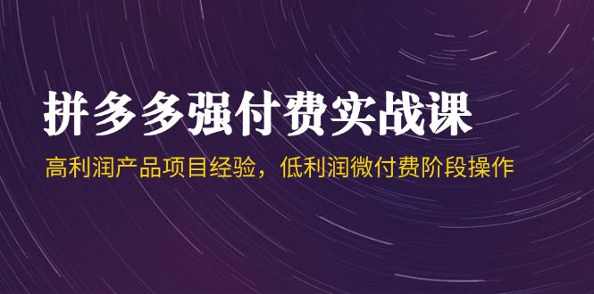 拼多多强付费实战课-44期，高利润产品项目经验，低利润微付费阶段操作-创业吧