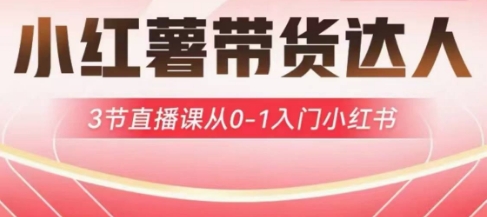小红薯达人带货启航计划，3节直播课从0-1入门小红书-创业吧