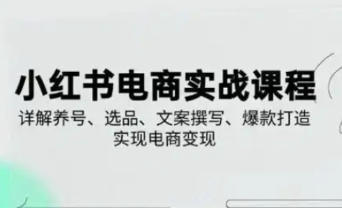 小红书从0-1实操课(2023-2025)，详解养号、选品、文案撰写、爆款打造实现电商变现-创业吧