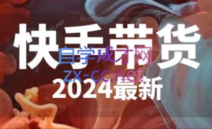 快手带货(2024最新)|南巷学社