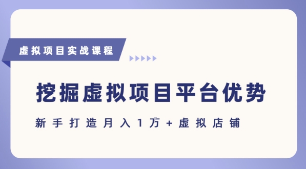 抓住虚拟项目各平台优势，新手轻松月入1W+(给出具体建议)-创业吧