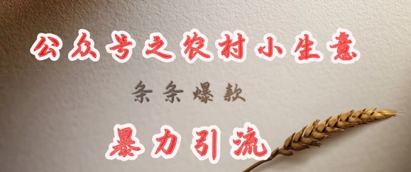 deepseek写农村小项目，条条爆款，暴力引流-创业吧