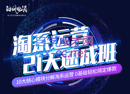 淘系运营21天速成班(更新24年6月)|南巷学社