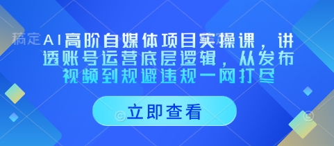 AI高阶自媒体项目实操课，讲透账号运营底层逻辑，从发布视频到规避违规一网打尽-创业吧