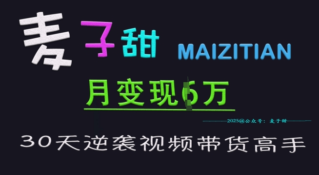 麦子甜30天逆袭视频带货高手，单月变现6W加特训营-创业吧