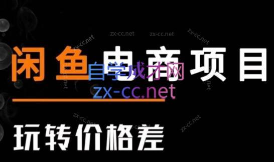 亿创繁星·闲鱼电商项目(玩转价格差)|南巷学社