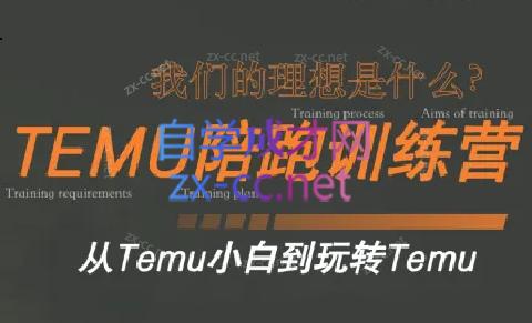 苗苗·拼多多跨境(temu)课程|南巷学社
