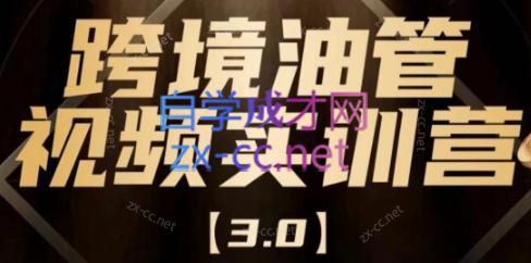 阿蔺Leo·跨境油管视频YouTube实训营(更新2025)|南巷学社