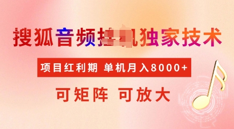 全网首发搜狐音频挂JI独家技术，项目红利期，可矩阵可放大，稳定月入8k【揭秘】-创业吧