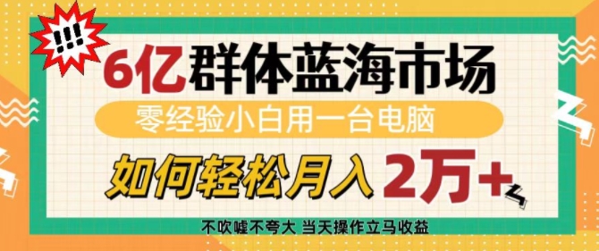 6亿群体蓝海市场，零经验小白用一台电脑，如何轻松月入过w【揭秘】-创业吧